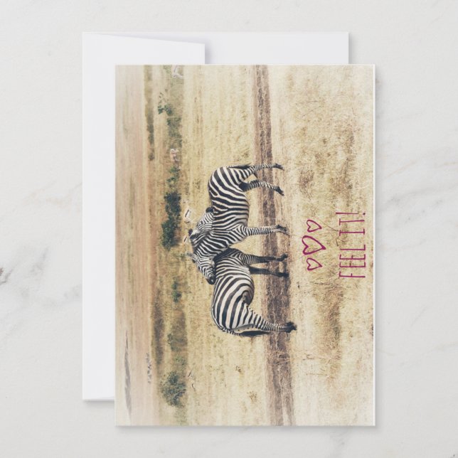 Zebra Affection,  Flat Holiday Card (Front)