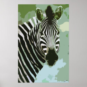 Zebra African Wildlife Poster Print
