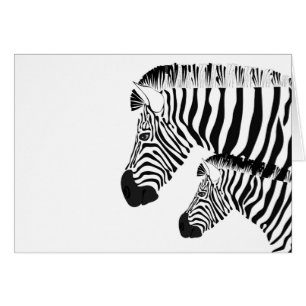 Zebra and baby
