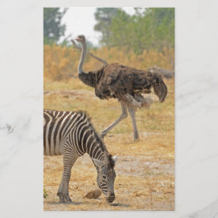 Zebra and Ostrich, Botswana..jpg Stationery