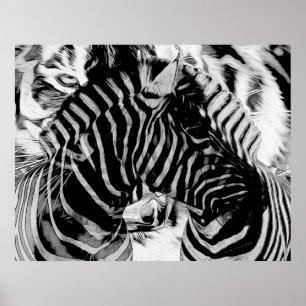 Zebra and Tiger Stripes Poster