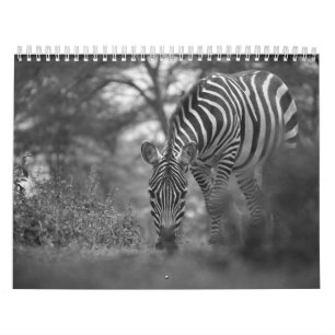 Zebra animal B/W Calendar