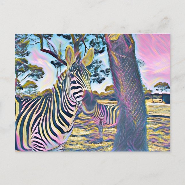 Zebra animal beautiful colour postcard (Front)