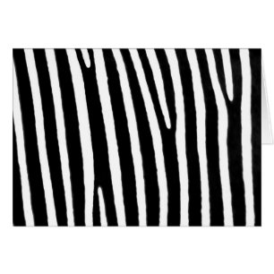 Zebra animal print