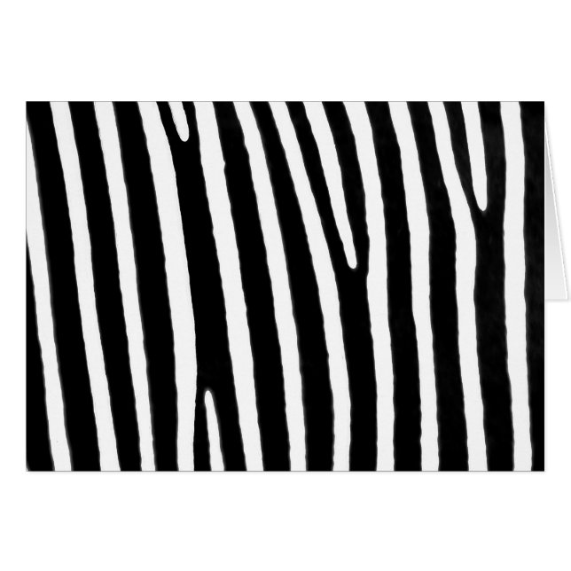 Zebra animal print (Front Horizontal)