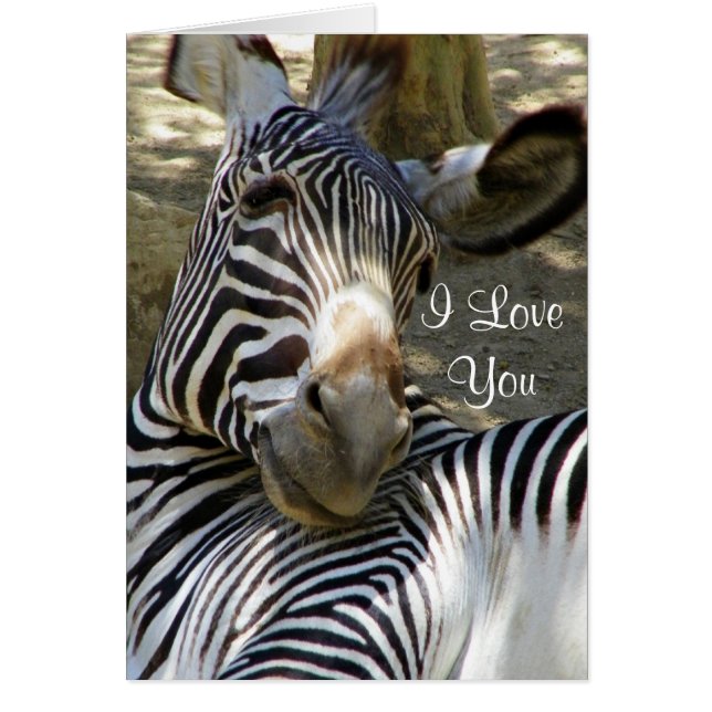 Zebra,Any Occasions_ (Front)