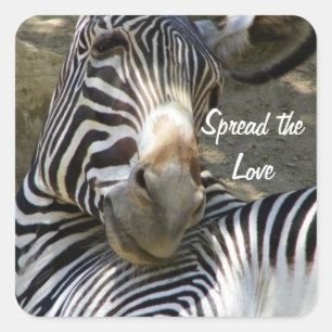 Zebra,Any Occasions_ Square Sticker