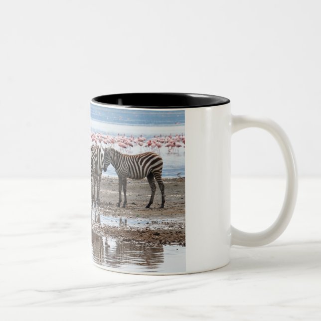 Zebra at Lake Nakuru Kenya Mug (Right)