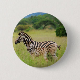 Zebra baby and mum 6 cm round badge