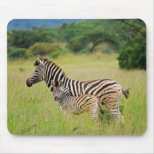 Zebra baby and mum mouse pad