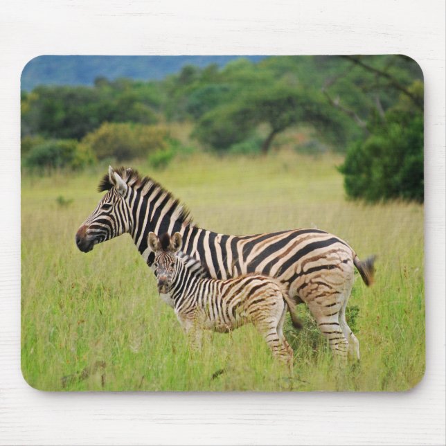 Zebra baby and mum mouse pad (Front)