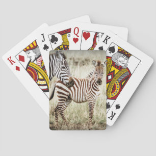 Zebra & Baby Playing Cards