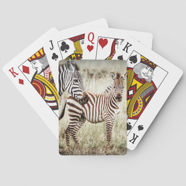 Zebra & Baby Playing Cards (Back)