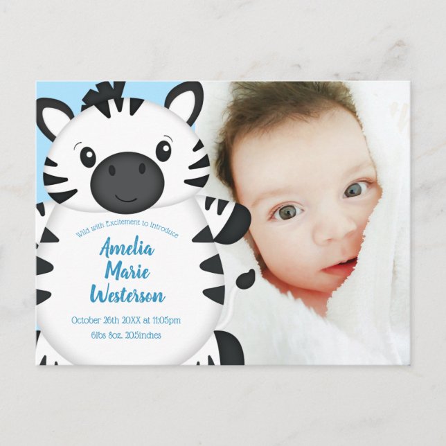 Zebra Baby Shower Blue Postcard (Front)