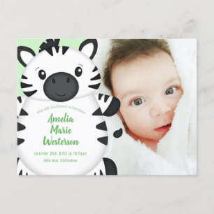 Zebra Baby Shower Postcard