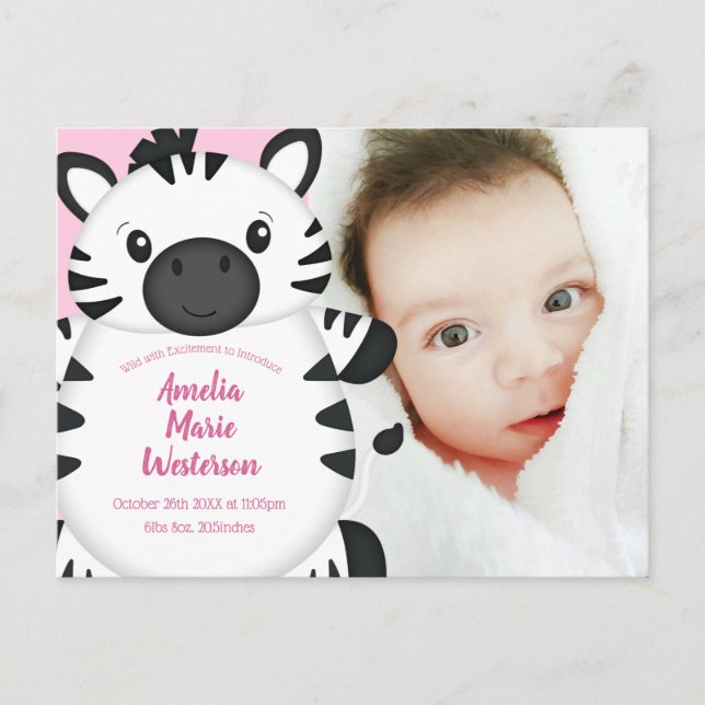 Zebra Baby Shower Safari Pink Girl Postcard (Front)