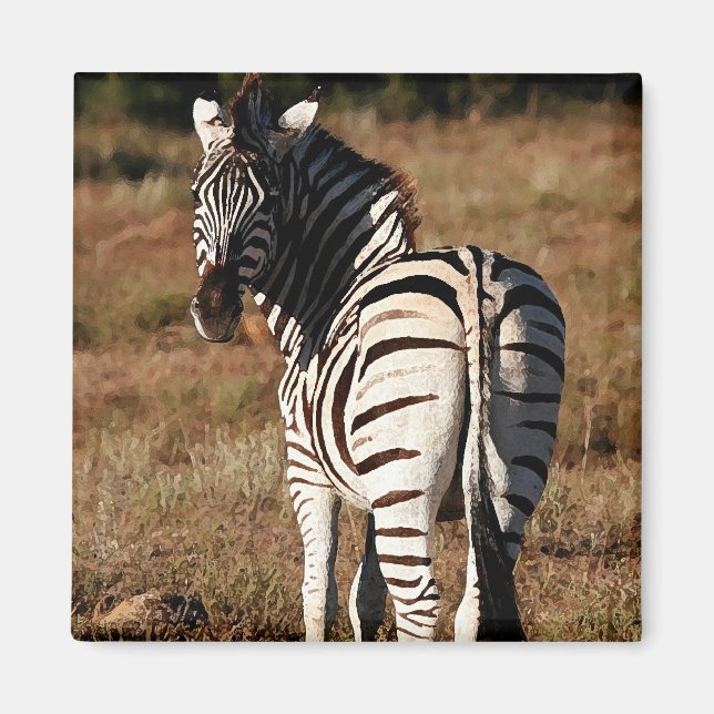 Zebra behind magnet (Front)