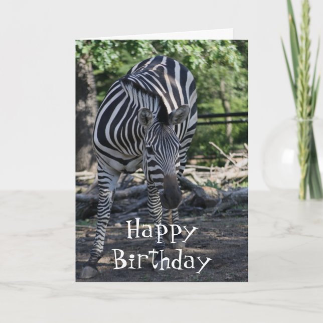 zebra Birthday Card (Front)