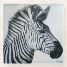 Zebra Black and White Portrait