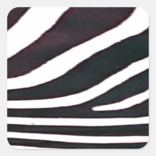 Zebra Black and White Stripes Print Square Sticker