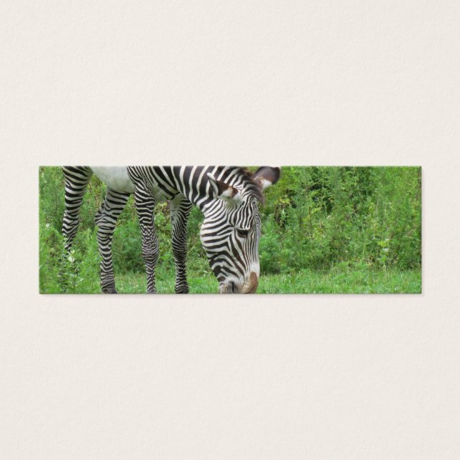 Zebra Bookmark (Front)
