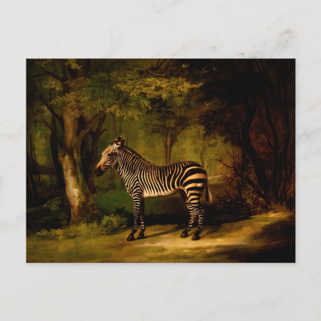 Zebra by George Stubbs (1763) Postcard (Front)