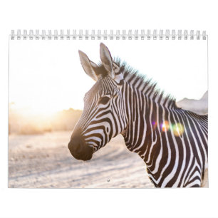Zebra Calendar