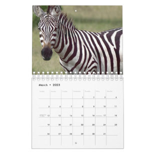 Zebra Calendar