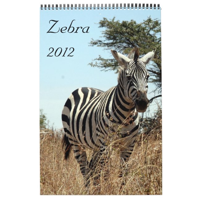 zebra calendar 2012 (Cover)