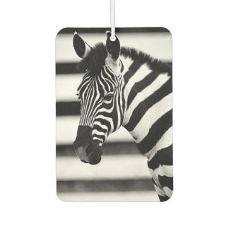 Zebra Car Air Freshener