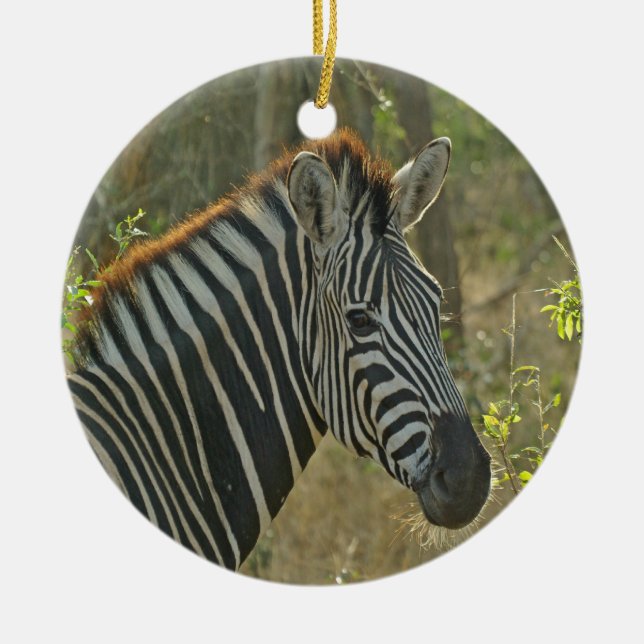 Zebra Ceramic Ornament (Front)