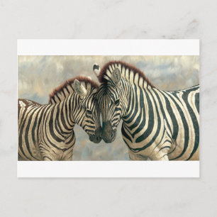 zebra-clip-art-3 postcard