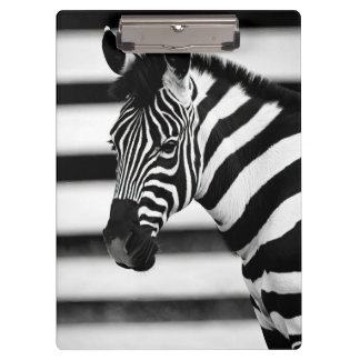 Zebra Clipboard