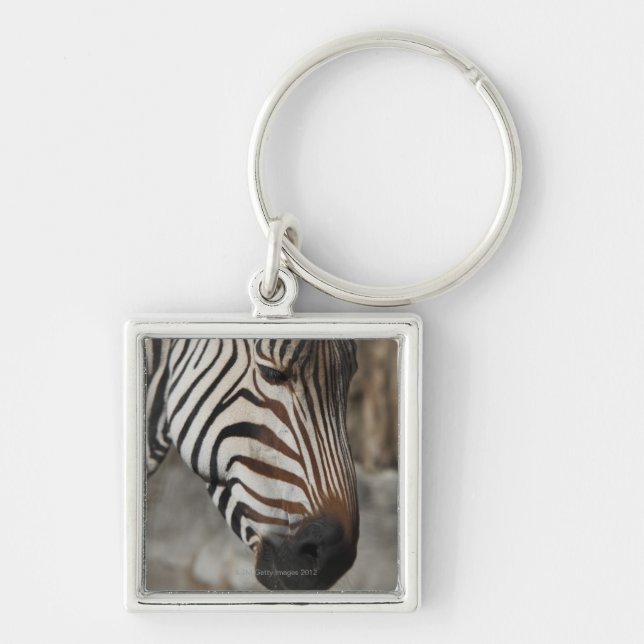 Zebra, close-up key ring (Front)