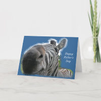 Zebra Closeup - Happy Father's Day