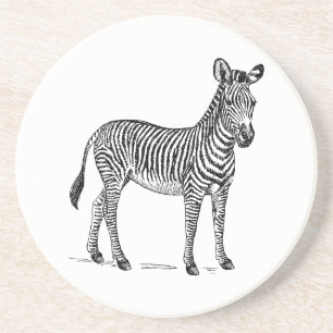 Zebra Coaster