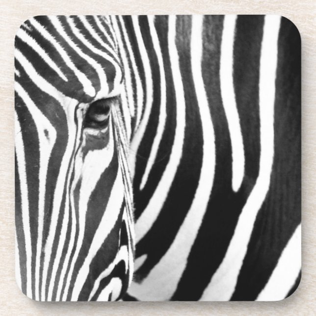 zebra coaster (Front)