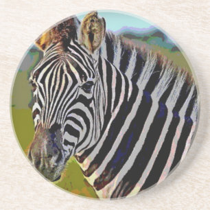 zebra coaster