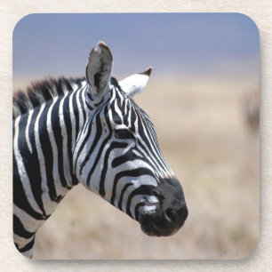 Zebra Coaster