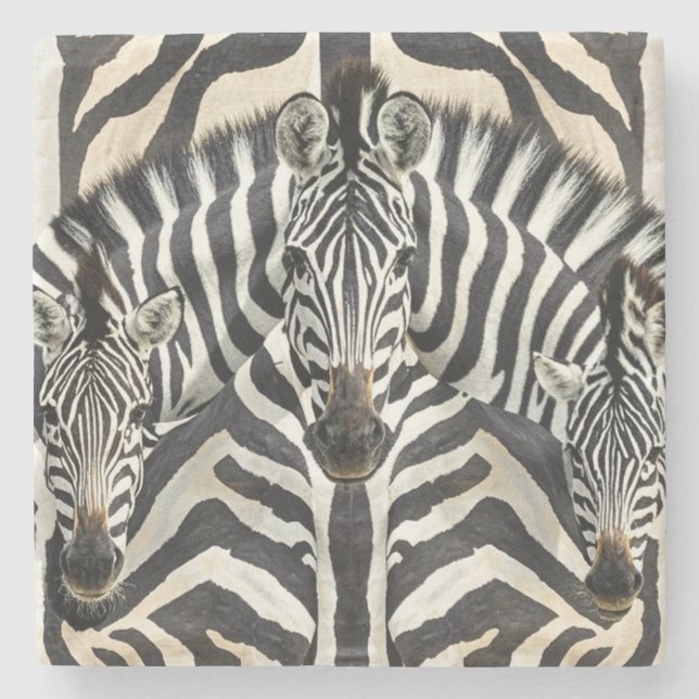 Zebra Coasters (Front)