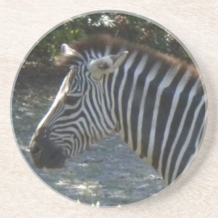 Zebra Coasters