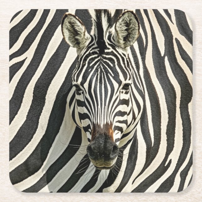 Zebra Coasters (Front)