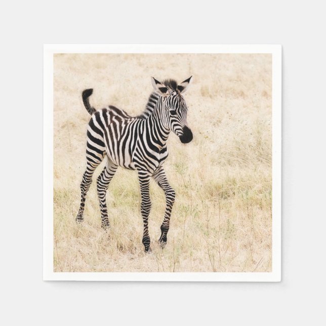Zebra Colt Napkin (Front)