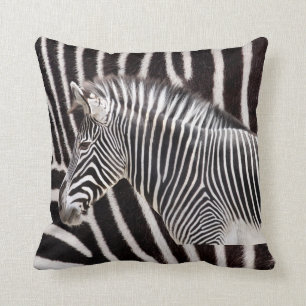 Zebra Cushion