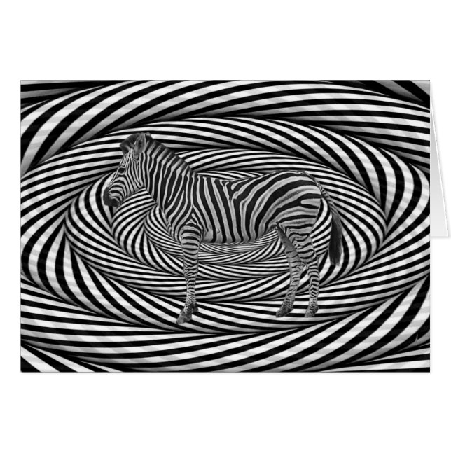 Zebra Dazzle (Front Horizontal)