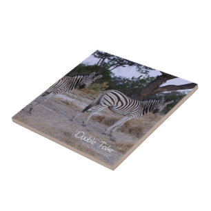 Zebra Double Take Photo Ceramic Tile