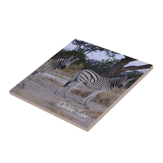 Zebra Double Take Photo Ceramic Tile (Side)