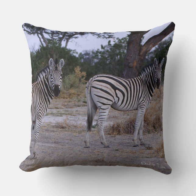 Zebra Double Take Photo Cushion (Front)