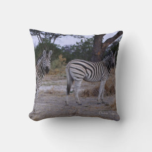 Zebra Double Take Photo Cushion