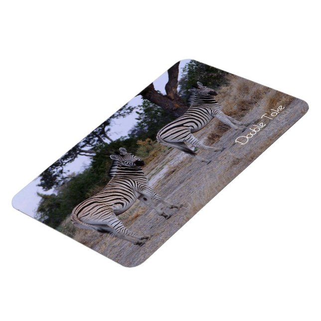 Zebra Double Take Photo Magnet (Left Side)